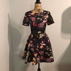 Ted baker brand new dress not used size 2 tb